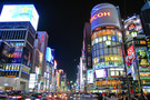 Japon - Tokyo, Circuit Splendeurs du Japon 3*