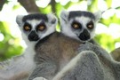 Madagascar - Antananarivo, Circuit Fabuleuse Nationale 7 