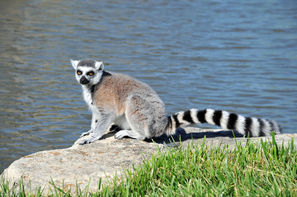 Madagascar-Antananarivo, Circuit Par la mythique route du sud