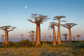 Madagascar-Antananarivo, Circuit Par la mythique route du sud + Extension balnéaire à Majunga