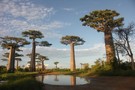 Madagascar - Antananarivo, Circuit Découverte de l'Est  2*