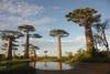 Nos bons plans vacances Madagascar