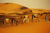 DESERT