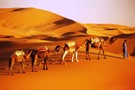Maroc - Marrakech, Circuit Sud Marocain
