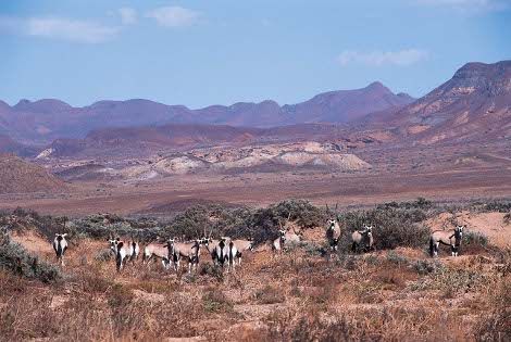Damaraland