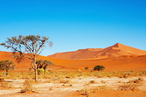 Namibie - Windhoek, Circuit Lumières de Namibie