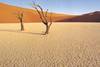 lac dead vlei