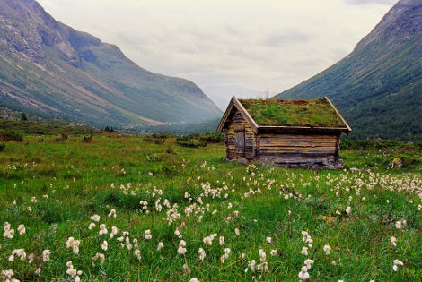 paysage_27322_pghd.jpg