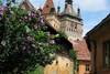 sighisoara