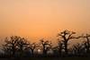 séjour Senegal : coucher de soleil