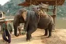 Thailande - Bangkok, Circuit Charmes de Thaïlande en hôtels 4*