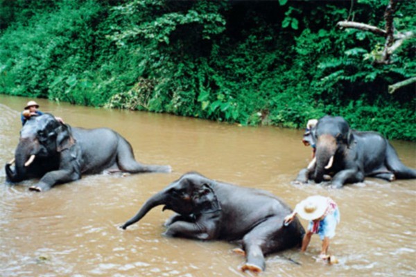 rencontre femme pattaya