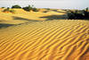 Tunisie - Djerba, Circuit Grand Sud "Randonnee en 4x4"