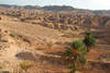 DESERT