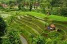 Vietnam - Hochiminh, Circuit Les Incontournables du Vietnam 3*