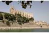 cathédrale de palma