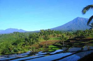 Bali-Denpasar, Combiné hôtels Combiné de villas : de la jungle d'Ubud aux sables de Bali 4*
