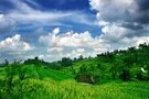 Bali - Denpasar, Combiné circuit et hôtel Circuit 3* Charme et Oasis Benoa 3*