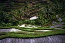 Bali - Denpasar, Combiné circuit et hôtel Circuit 4* et 5* + Bali Hyatt Sanur 5*