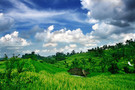 Bali - Denpasar, Combiné circuit et hôtel Circuit 4* et 5* + Melia Bali Villa & Spa 5*