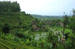 Bali-Denpasar, Combiné circuit et hôtel Circuit 3* Charme et séjour au Sanur Paradise 4*