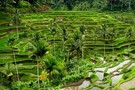 Bali - Denpasar, Combiné circuit et hôtel Soleil de Bali  5*