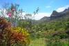 cabo ribeira