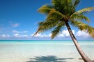 Cuba - La Havane, Combiné hôtels Quinta Avenida 5* / Melia Las Antillas 5*