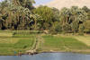 Egypte - Le Caire, Combiné croisière et hôtel Circuit Thot 5*/4*