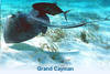 Etats-Unis - Miami, Combiné croisière et hôtel Combine Miami 2*/ Croisiere Jamaique Grand Cayman