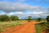 amboseli