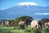Nos bons plans vacances Kenya