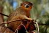 Nos bons plans vacances Madagascar