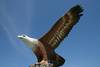 malaisie - Découverte et farniente à Langkawi 