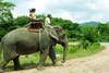 elephant - Découverte et farniente à Langkawi