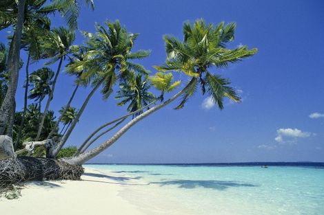 Photo hotel HOTEL BIYADHOO ISLAND RESORT 3*