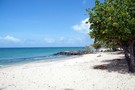 Martinique - Fort De France, Combiné hôtels Grande Nord - Sud