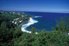 le sud sauvage