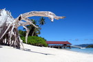 Seychelles - Mahe, Combiné hôtels Coco en prestige plus 4*