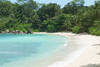 plage de mahe - corail en categorie prestige