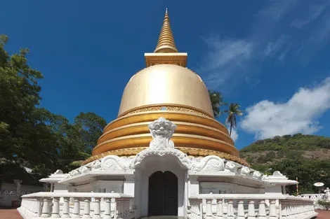 11 JOURS / 8 NUITS - Combin&eacute; circuit et h&ocirc;tel - Sri Lanka Authentique 3* et plage 4* - Package voyage...