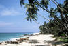 Sri Lanka - Colombo, Combiné circuit et hôtel - Découverte & Plage 3*