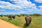 Tanzanie - Kilimanjaro, Combiné circuit et hôtel Safari de Charme en Tanzanie + balnéaire à Zanzibar en hôtel 4* Charme