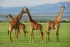 Tanzanie