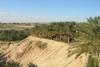 dunes