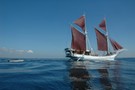 Bali - Denpasar, Croisière De Flores aux dragons de Komodo