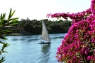 Egypte - Louxor, Croisière au Fil du Nil  5*