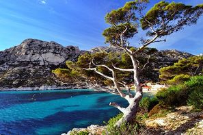 France Provence-Cote d Azur-Marseille, Croisière MSC Armonia - Le Vent Chaud de l'Eté: France, Baléares, Italie 4*