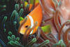 poisson clown