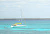 Martinique - Fort De France, Combiné croisière et hôtel Croisière à la voile aux Grenadines 2D + Hôtel Camelia 2*